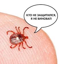 «Шаги спасения»: онлайн-игра от МЧС