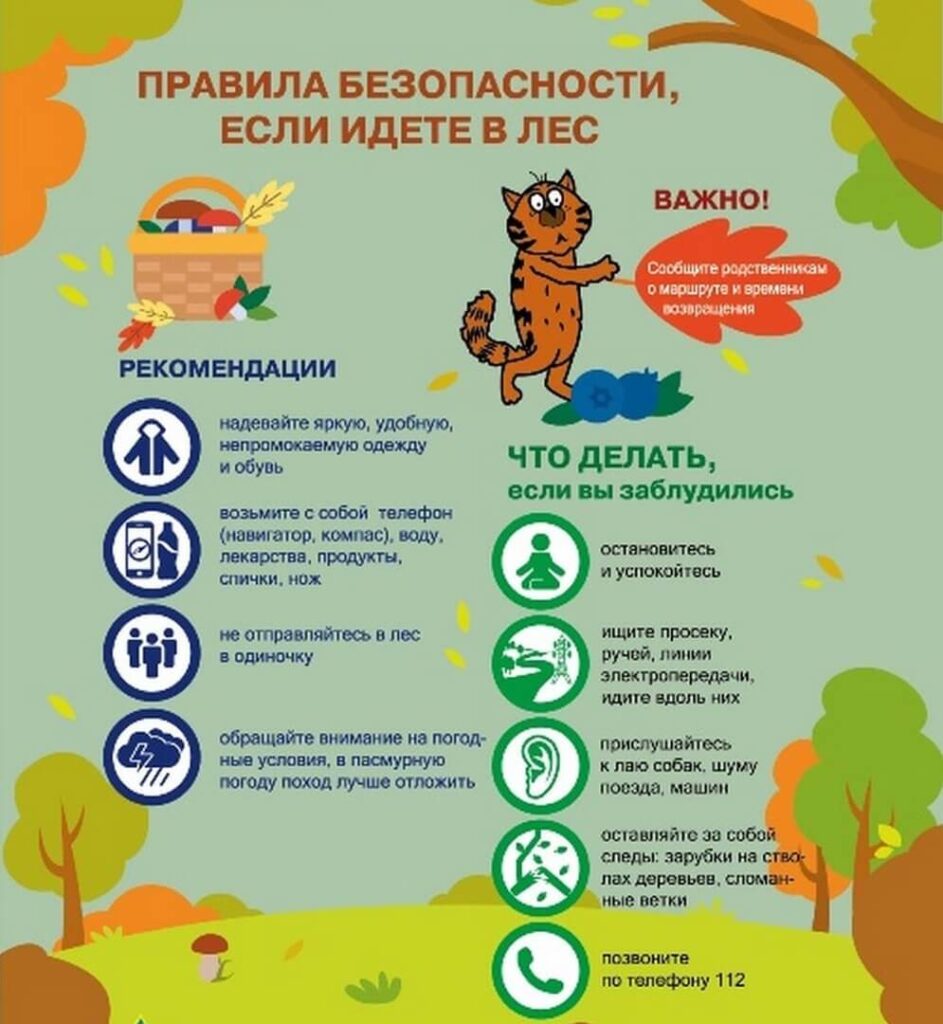 Акция «Летний патруль»